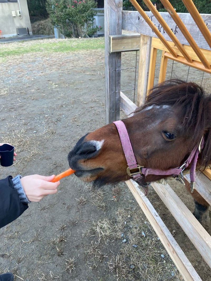 旅人牧舎。（たびびとぼくしゃ）
