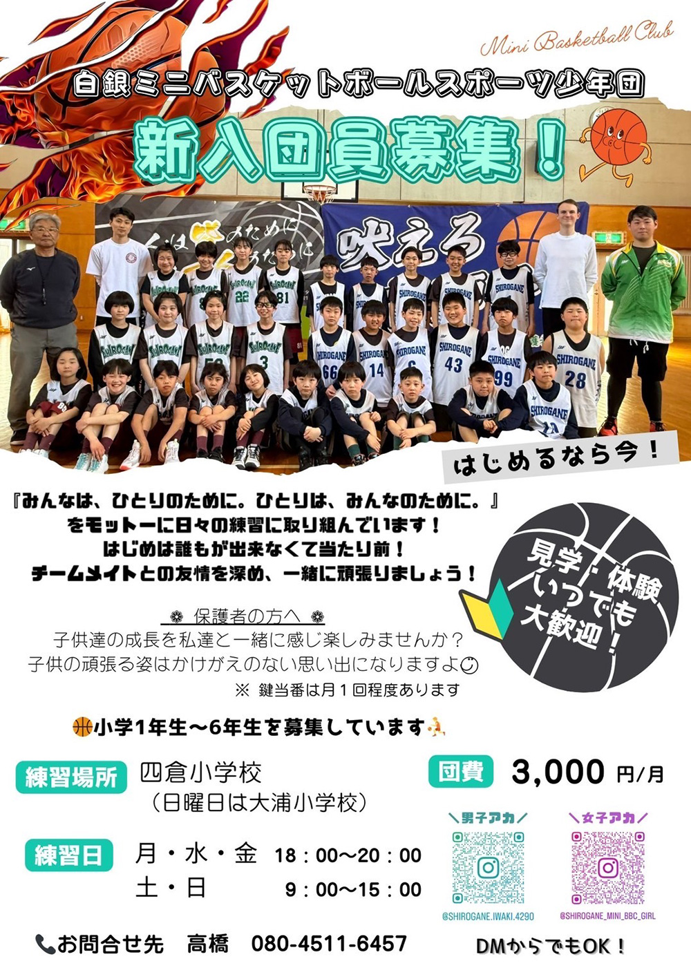 【バスケットボール】新入団員募集