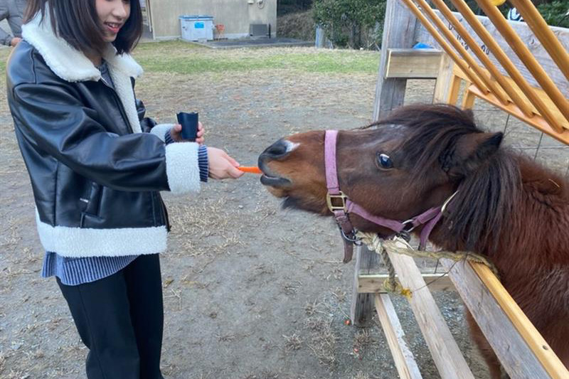 旅人牧舎。（たびびとぼくしゃ）